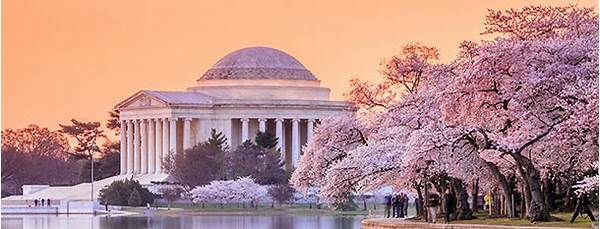 Jefferson Memorial