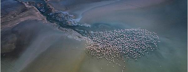 Lake Magadi