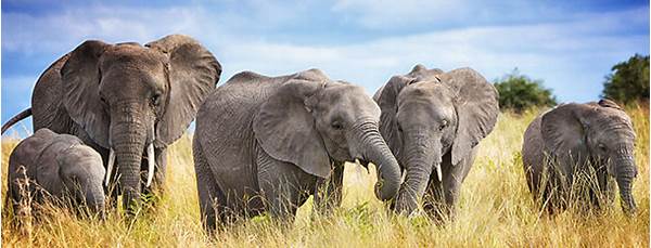 Tarangire National Park
