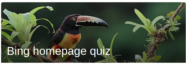 Collared aracari