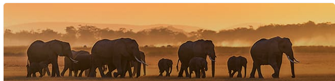 Amboseli National Park
