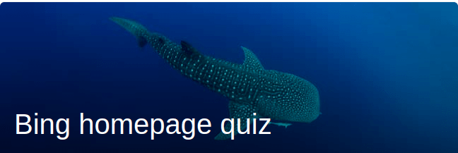 Whale shark
