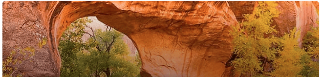 Coyote Gulch