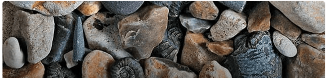 Jurassic Coast