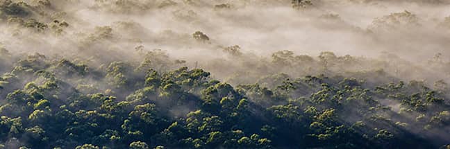 Blue Mountains National Park