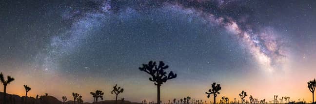 Joshua Tree National Park