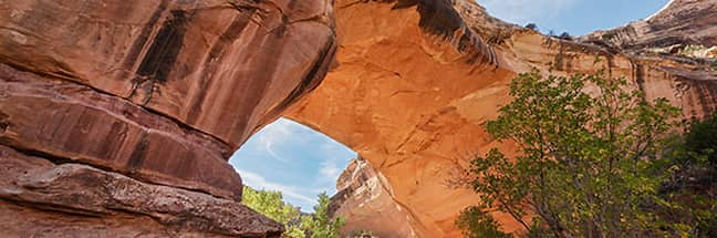 Natural Bridges National Monument