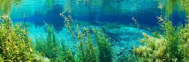 Rainbow River